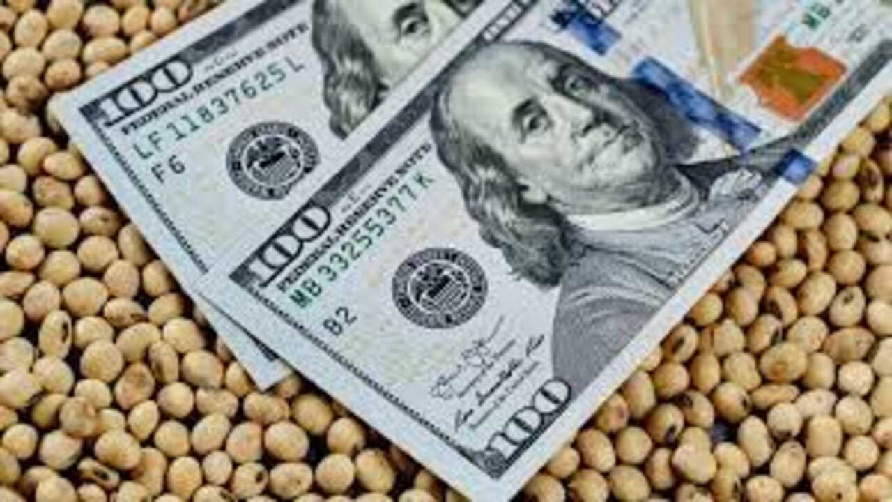 Cotización del dolar blue en Mar del Plata: a cuánto cerró este miércoles 3 descarga_4.jpg