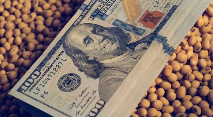 Como impactaría la sequia en la liquidación de divisas del agro para 2023 1 dolar_1.jpg
