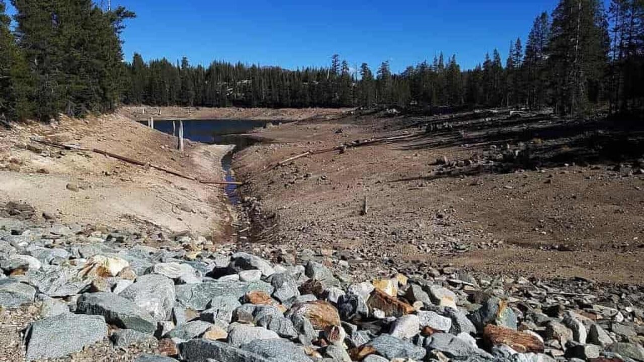 La sequía obliga a varios países europeos a trazar un plan de emergencia 1 drought-g6ee208d9c_12801_1.jpg