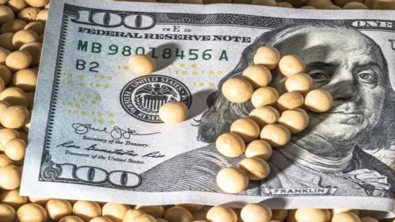 Dólar soja: la liquidación de divisas superó los US$ 1.200 millones 1 e_1670368540_1.jpg