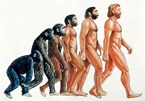 evolucion_humana.jpg