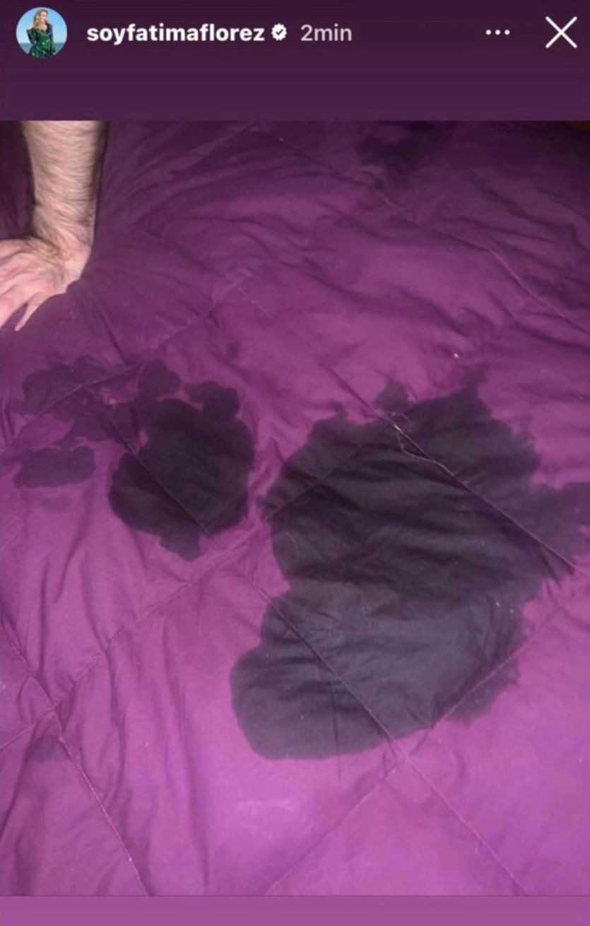 Fátima Florez aclaró la polémica sobre la foto que publicó en redes sociales: “Es la mano de Milei” 1 fatima_flores_y_javier_milei_historia.jpg