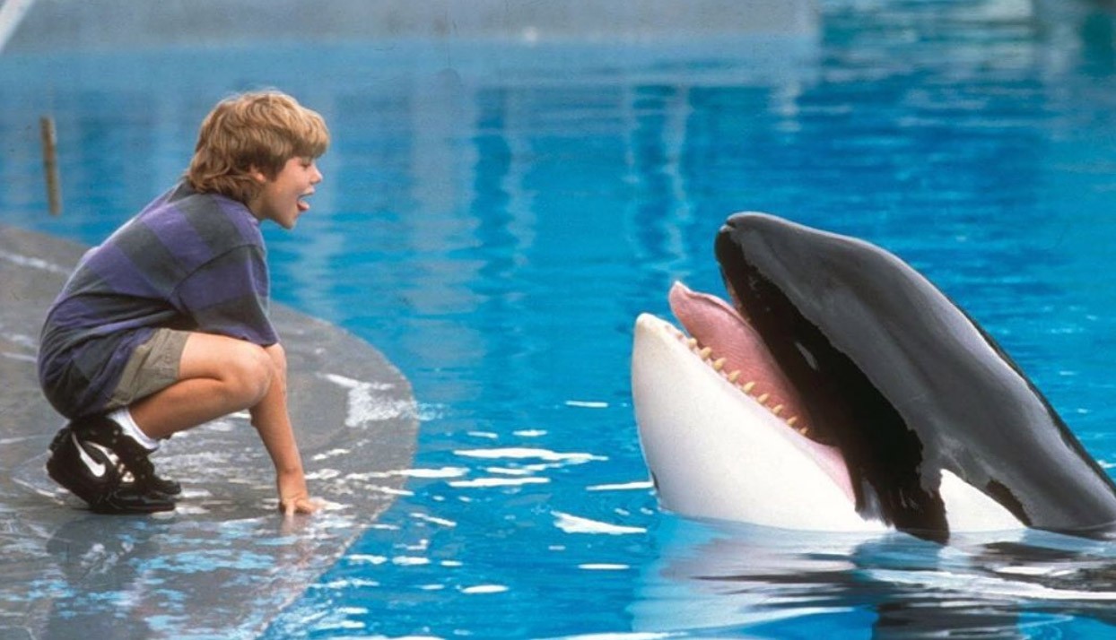Dia Nacional del Animal: Las mascotas del cine 2 free-willy-730no.jpg