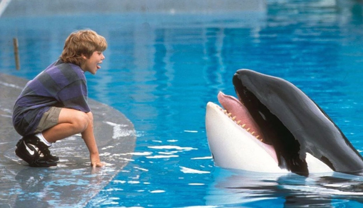 free-willy-730no.jpg