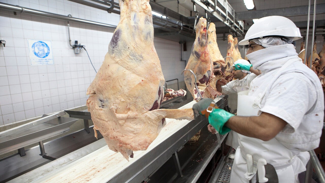 Argelia volverá a comprar carne con hueso a la Argentina 1 frigorificos-patas-vacunas_1.jpg