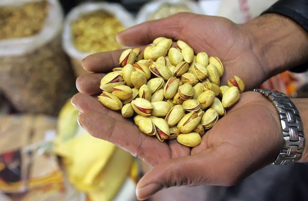 Día Mundial del Pistacho: ¿qué beneficios trae consumir este alimento? 2 fruto_seco_pistacho.jpg
