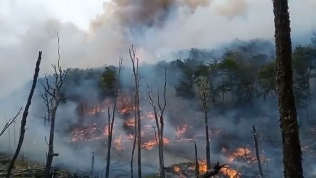 incendio-tierra-del-fuego-3_1.jpg