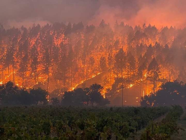 incendios_forestales_california.jpg