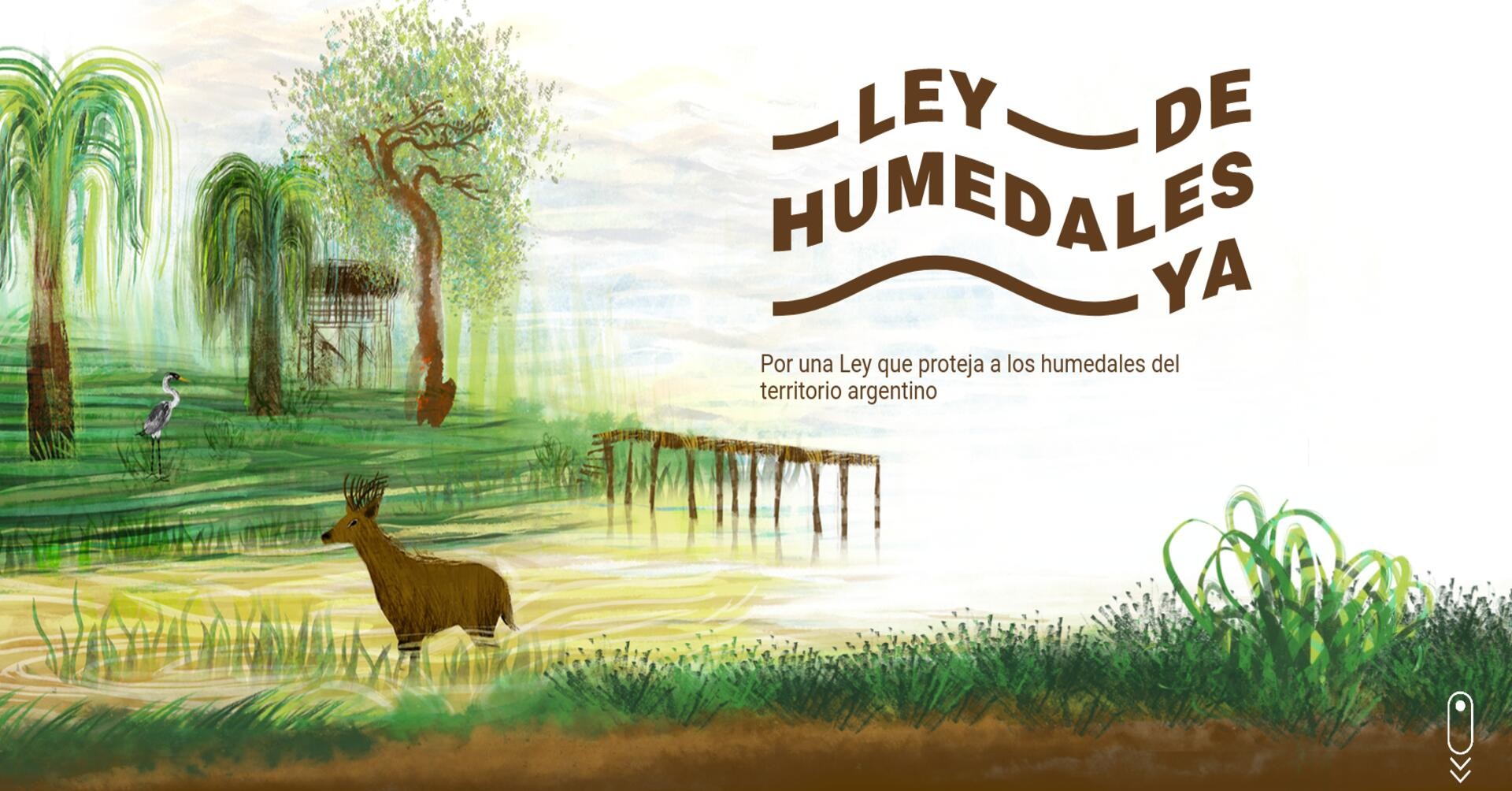 En medio de los incendios, empiezan a tratar la ley de humedales 1 ley de humedales