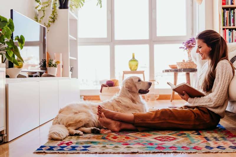 Vacaciones sin mascota: 7 consejos para evitar la ansiedad por separación de tu perro 2 mascota_6.jpg