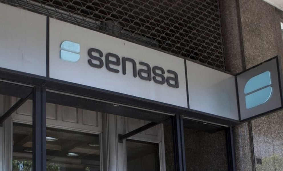 Gripe aviar en Mar del Plata: “Sabíamos que en algún momento u otro iba a ingresar” 3 md_copy_copy.jpg