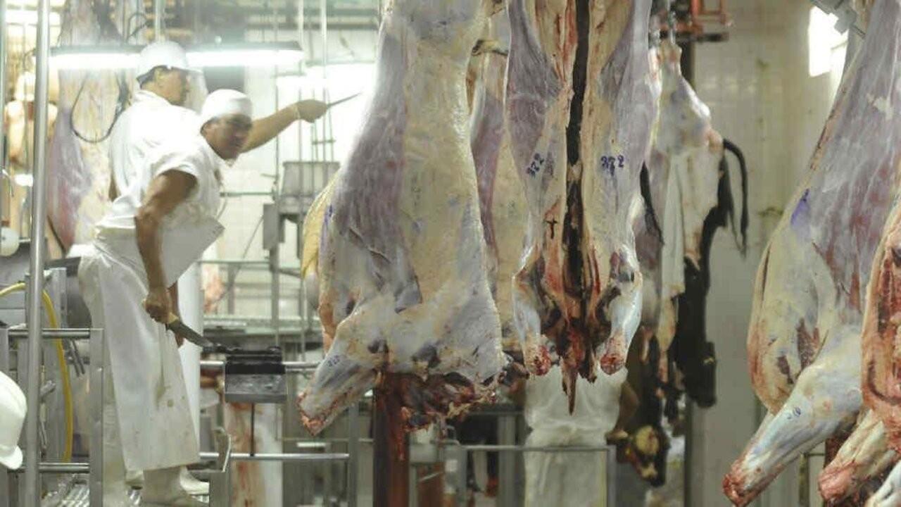 Anticipan que habrá nuevas subas en el precio de la carne entre marzo y abril 2 multimedia.normal.997a77340e53c4a6.65636f6e6f6d69612d6361726e65365f6e6f726d616c2e6a7067_1.jpg