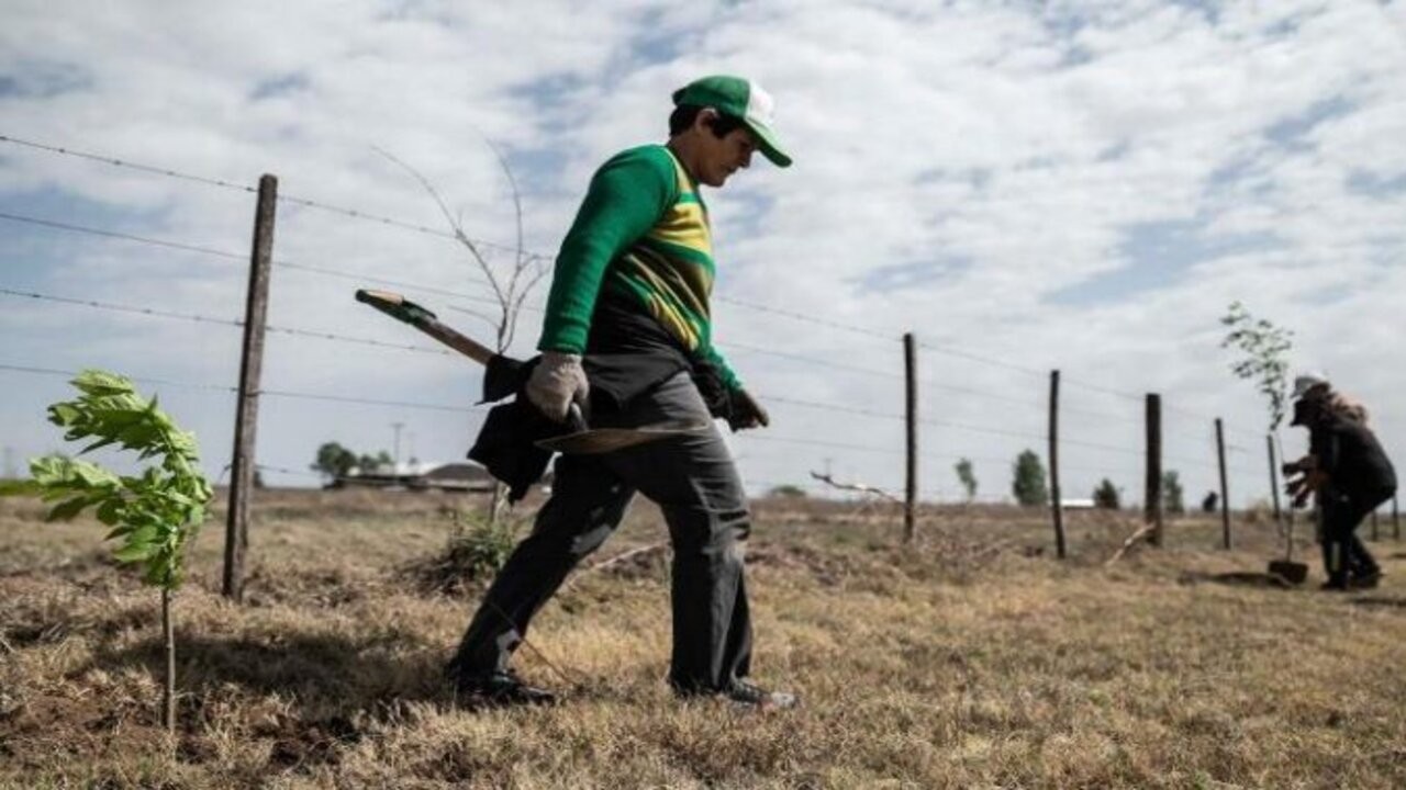 Plantaron árboles en San Luis para mitigar los efectos del cambio climático 1 platacion-arboles-san-luis-foto-telam-675x428_1.jpg