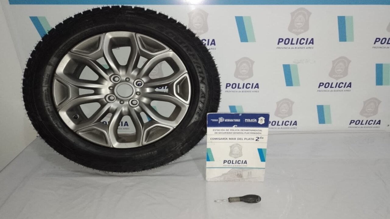 Robo de neumáticos en Mar del Plata: un delito que crece 1 policial-3-26-_1.jpg