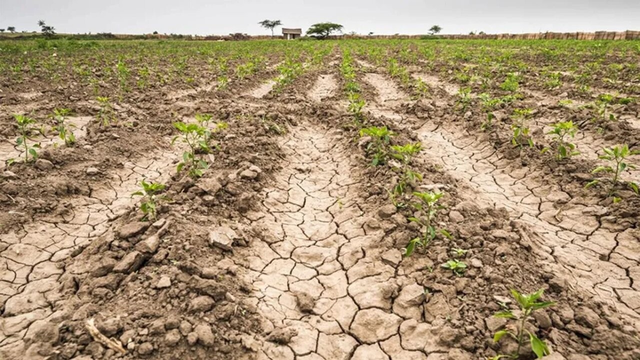 Entre Ríos y Catamarca se sumaron a las provincias en “emergencia agropecuaria” 2 sequia-uruguayjpg.jpg