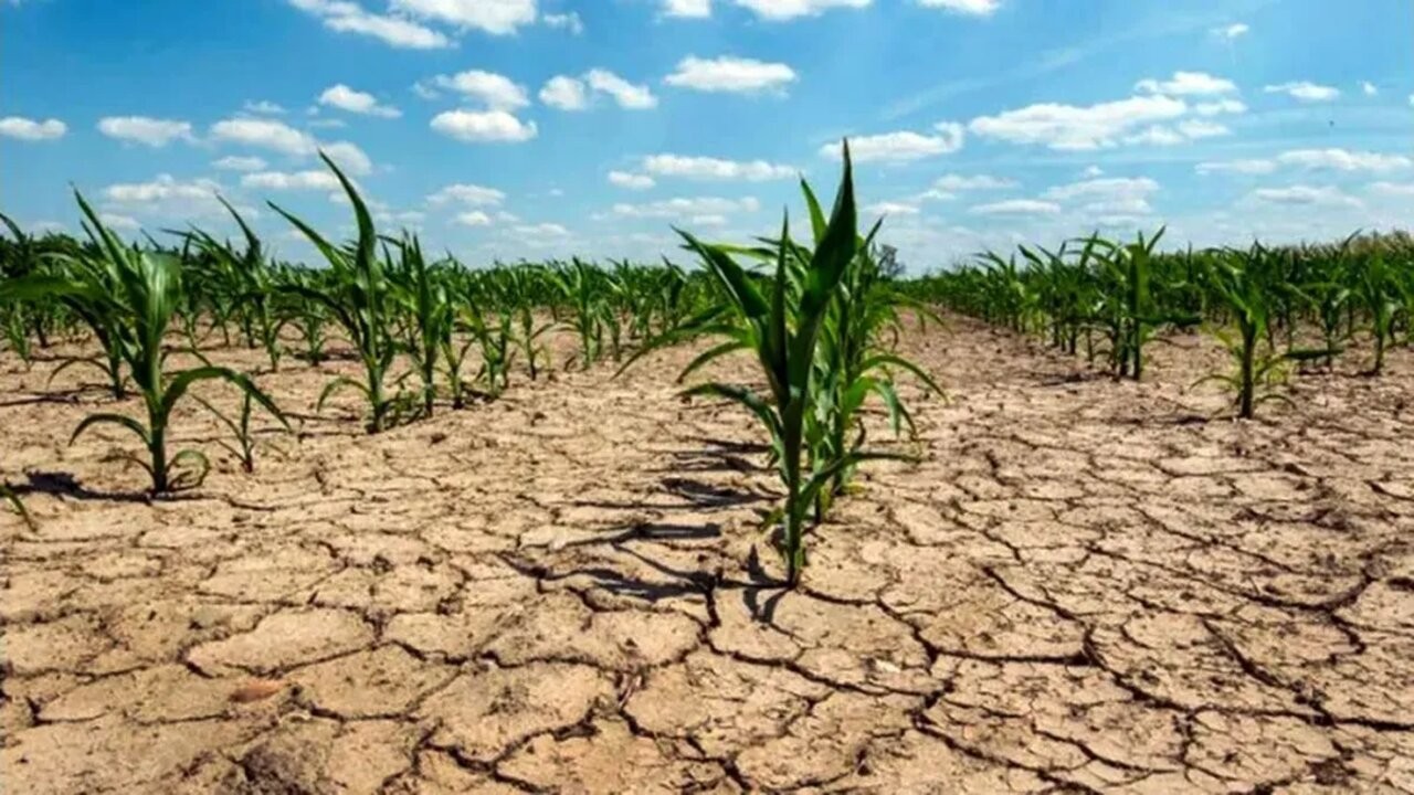 Entre Ríos y Catamarca se sumaron a las provincias en “emergencia agropecuaria” 1 sequiawebp.jpg