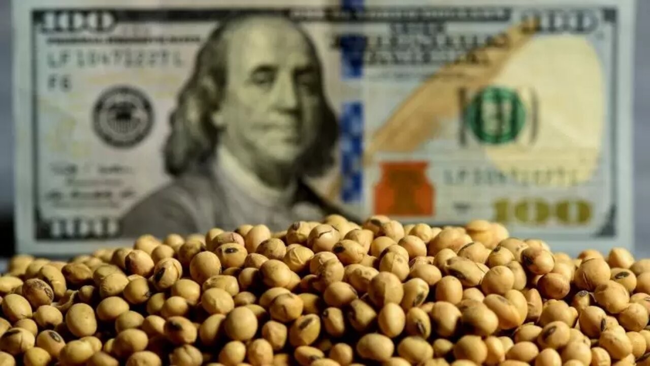 Dólar soja: la liquidación de divisas superó los US$ 1.200 millones 2 soja-768x432.jpg
