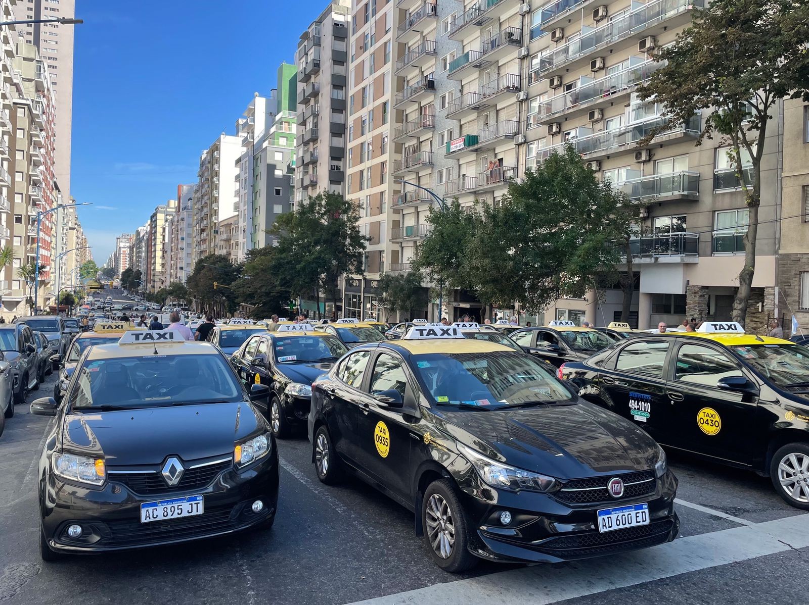 Uber en Mar del Plata: el sector taxista recibió una gran oferta monetaria para incorporarse a la app 1 taxis_2.jpg