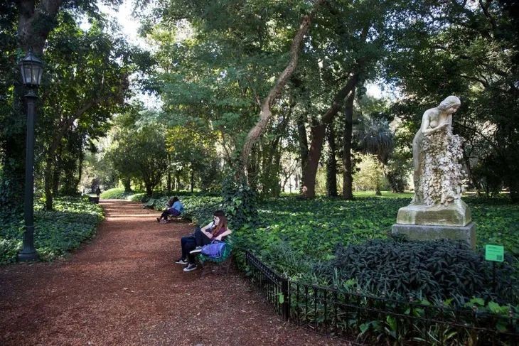 Vacaciones en el Botánico: ¿Qué actividades se presentan? 1 vacaciones_en_el_botanica.jpg