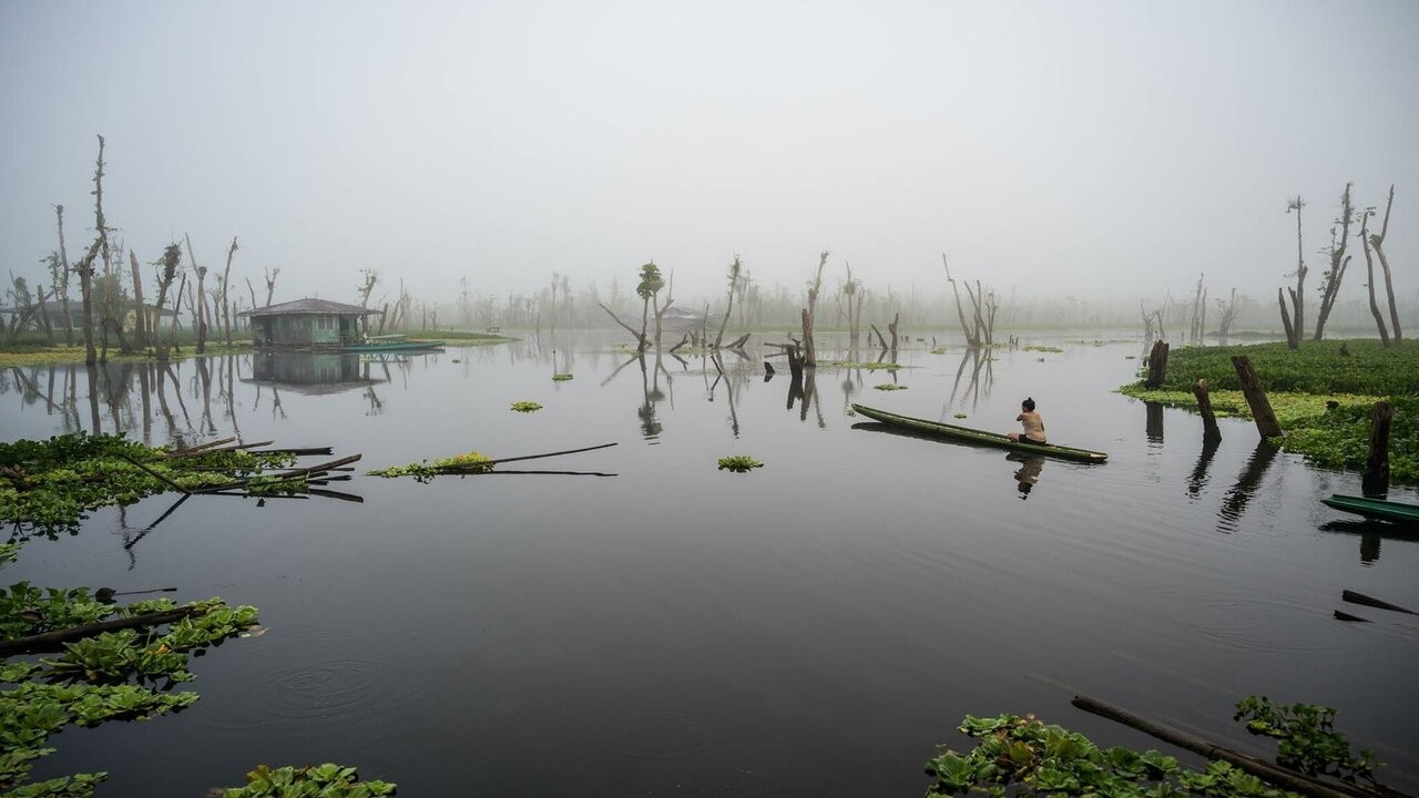 Alerta: el humedal mas grande de Europa se esta secando 1 wetlands-day-9_1.jpg
