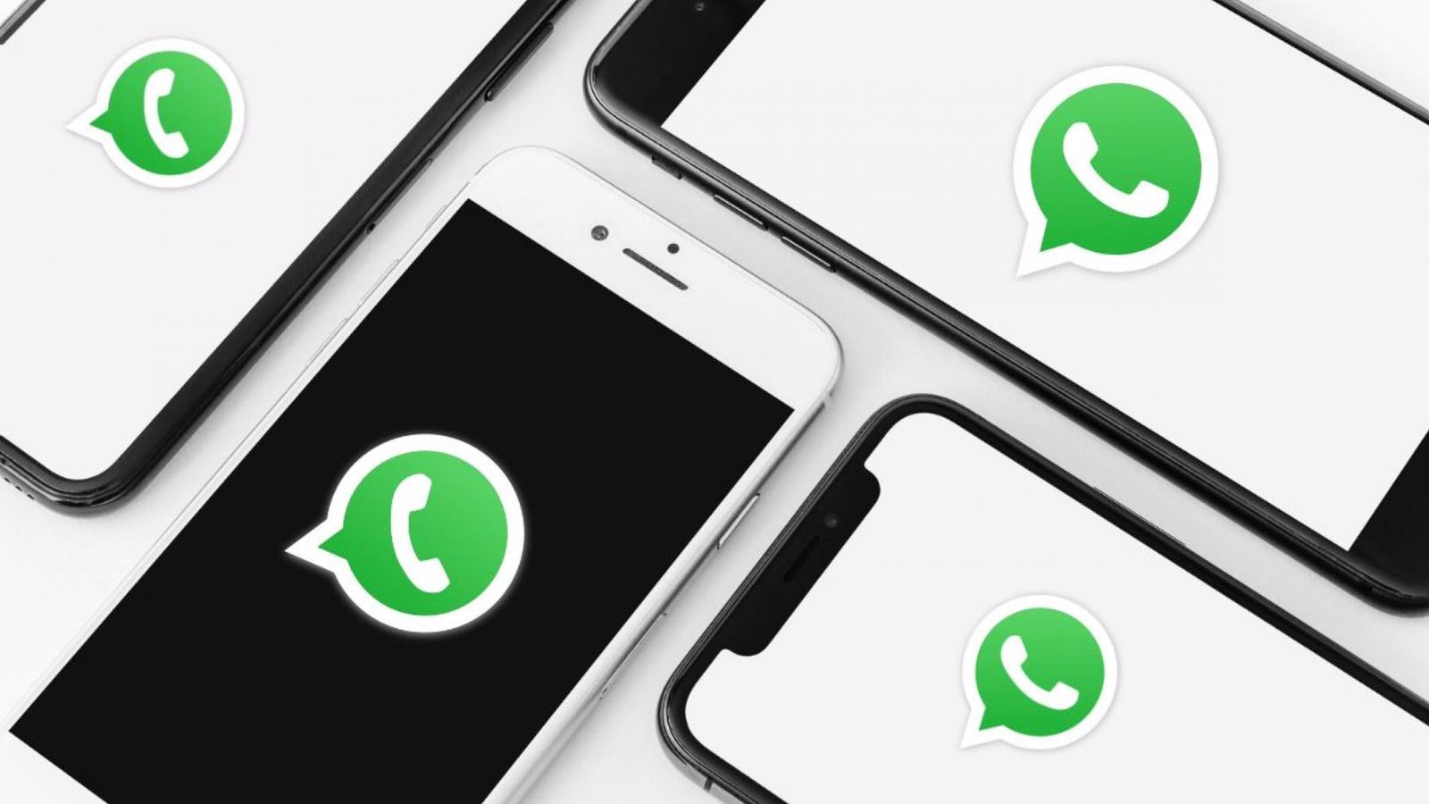 WhatsApp utilizará inteligencia artificial para recomendar stickers y chats 1 wpp_beta.jpg